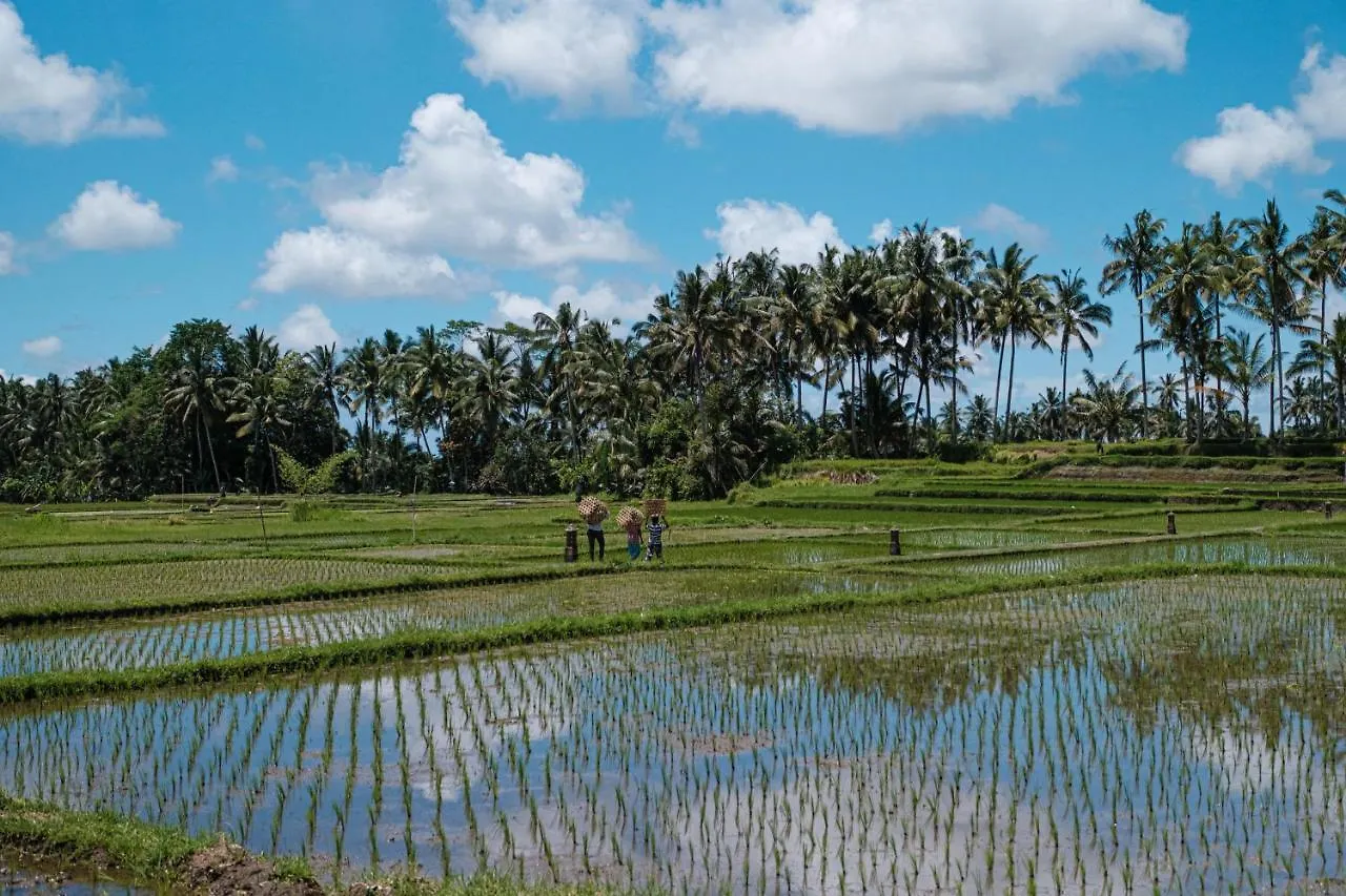 Asri Cinta Villa Ubud Indonesia