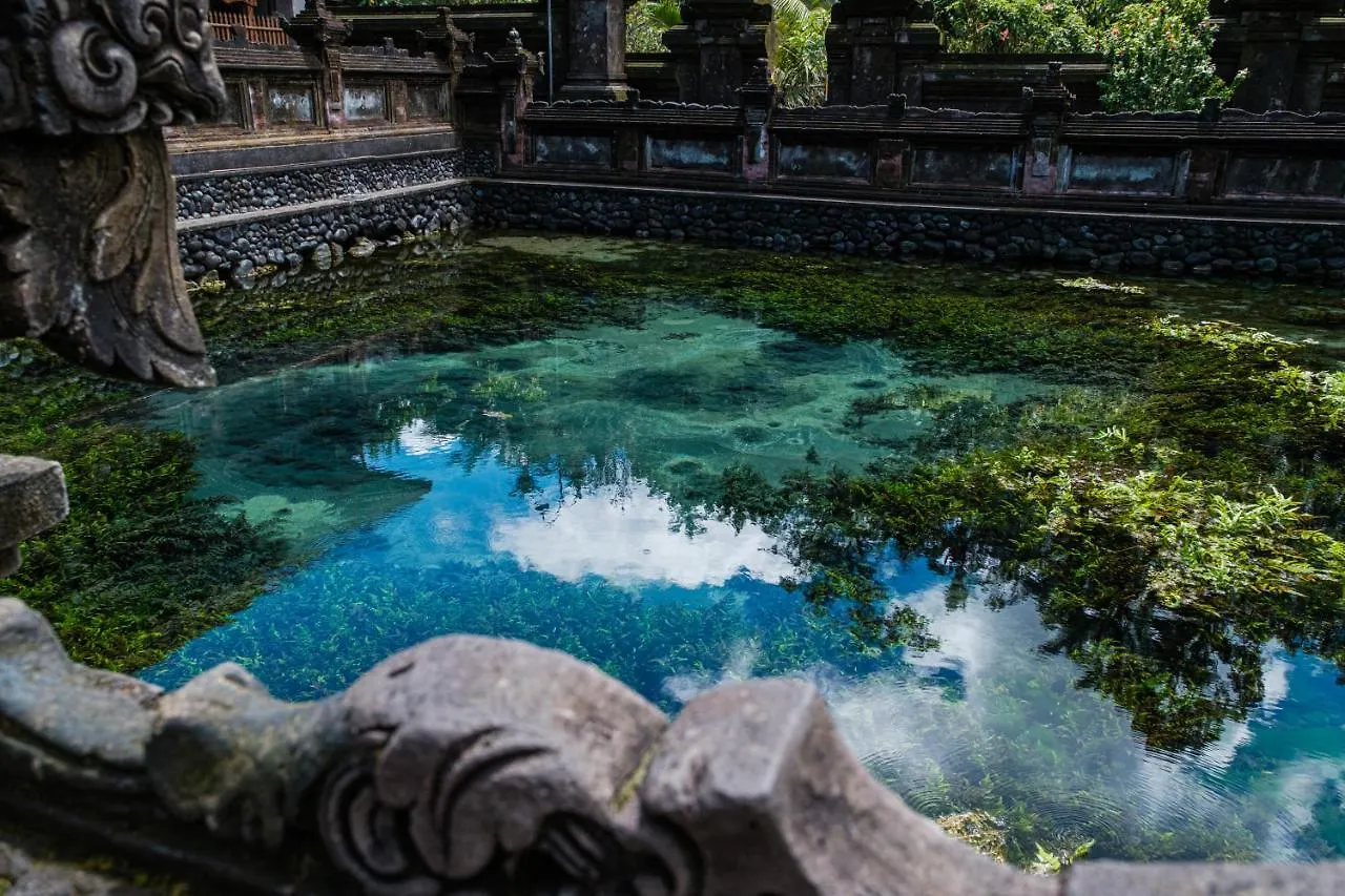 Asri Cinta Villa Ubud
