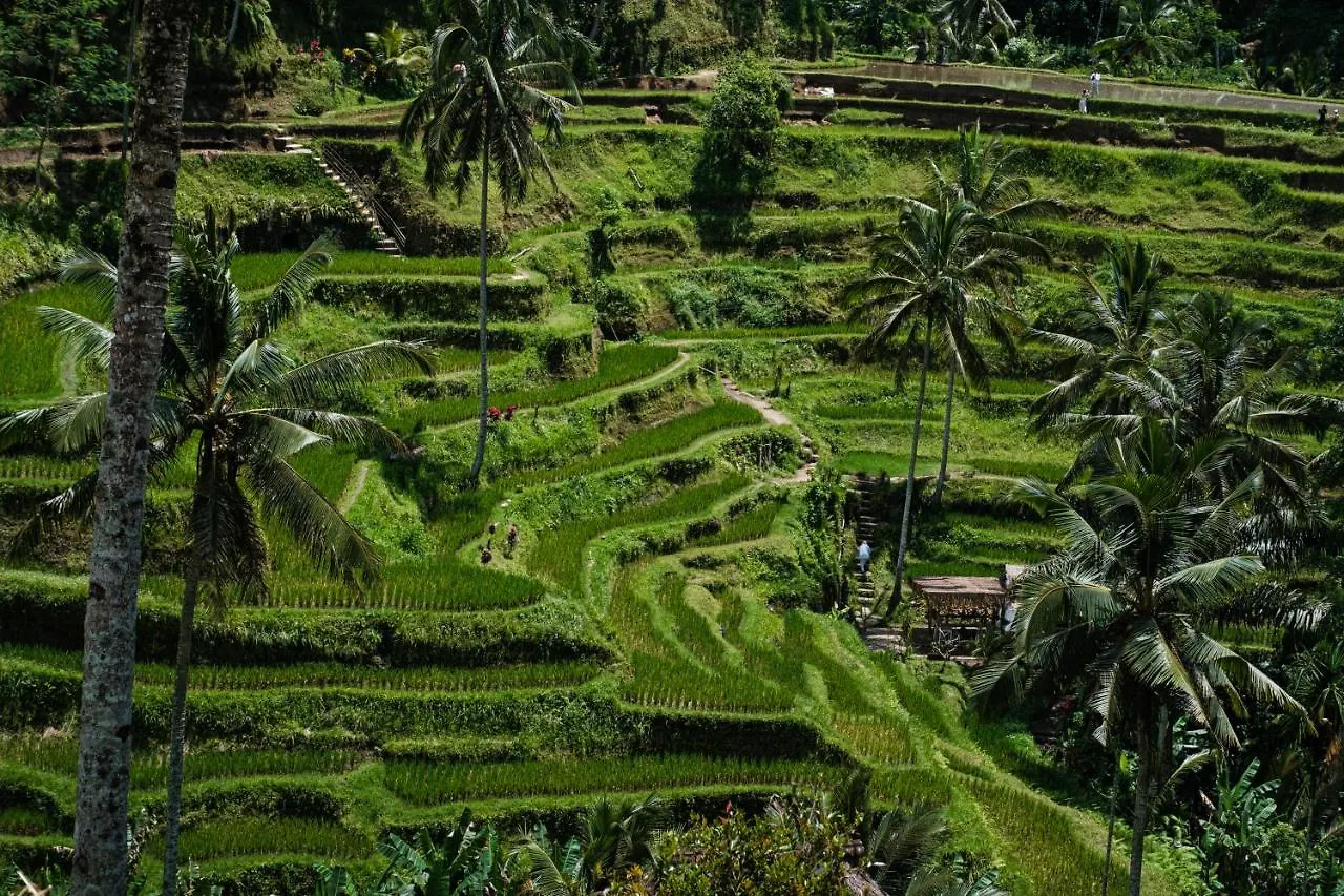 Asri Cinta Villa Ubud Indonesia
